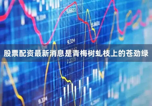 股票配资最新消息是青梅树虬枝上的苍劲绿